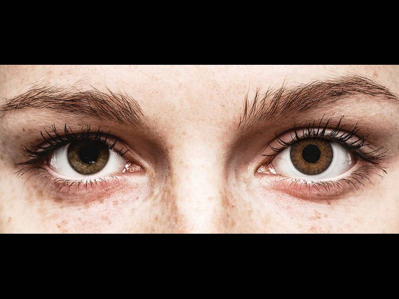 TopVue Color daily - Brown - недіоптричні (10 шт.)